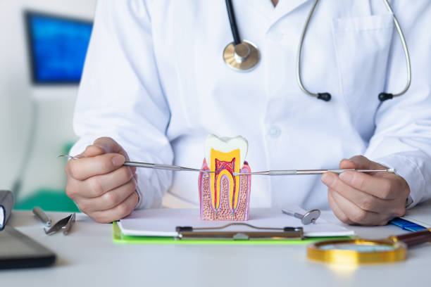 Best Emergency Tooth Extraction in Hammond, WI